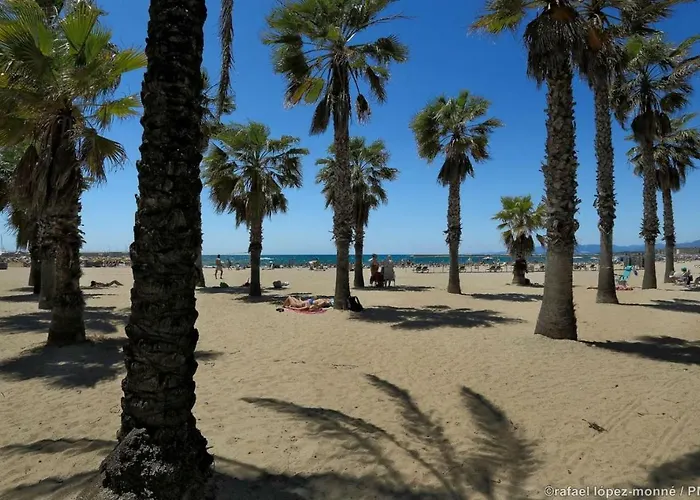 Zeus Sant Jordi Apartmán Salou